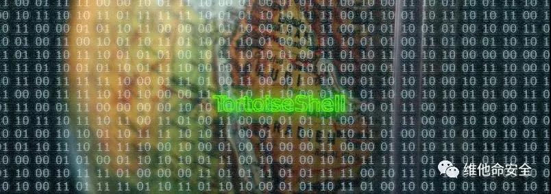 ɳ��(�й�)��վ���޹�˾����