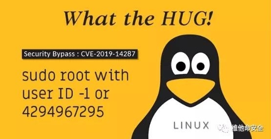 ɳ��(�й�)��վ���޹�˾����