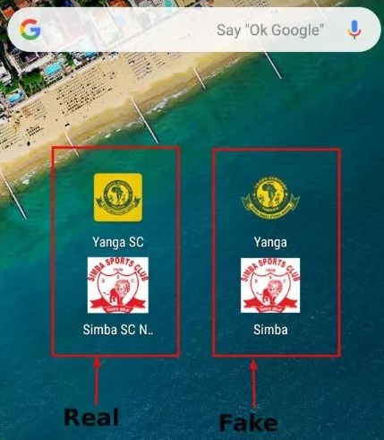 ɳ��(�й�)��վ���޹�˾����